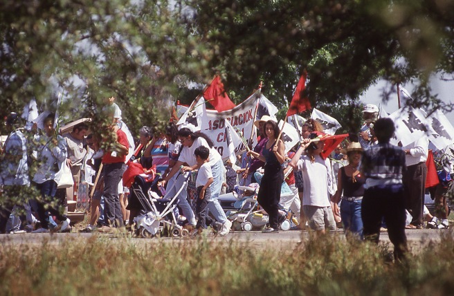 I liked this view of the marchers shot through the orchards along the route. Previously unpublished photo.